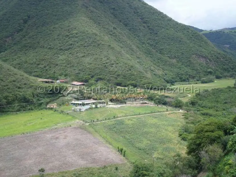 Terreno (Finca) en Venta en El Manzano, Lara