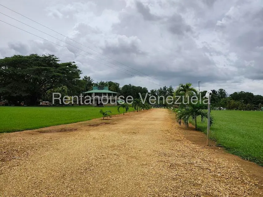 Terreno (Finca) en Venta en Sabana del Medio, Carabobo - 2