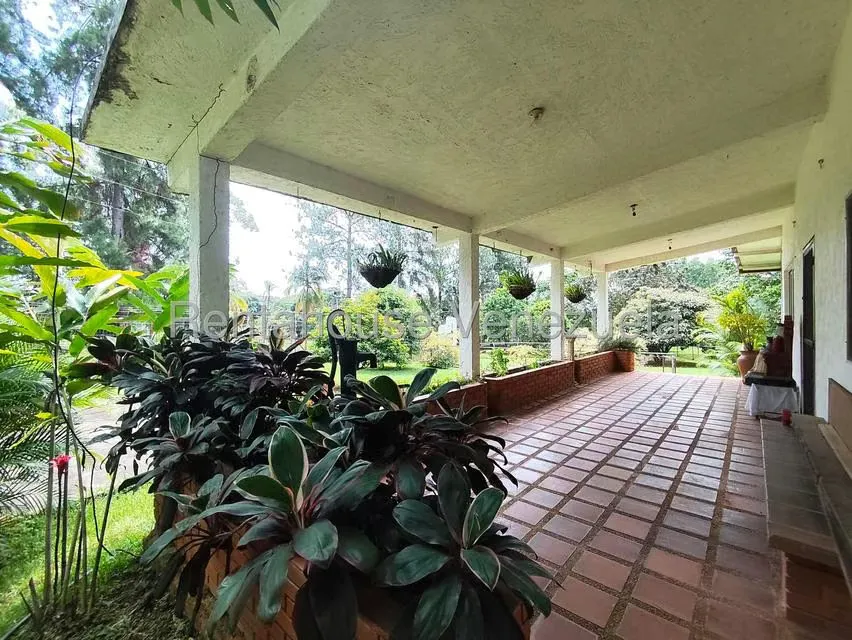 Terreno (Finca) en Venta en Sabana del Medio, Carabobo - 23