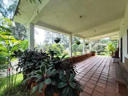 View 23