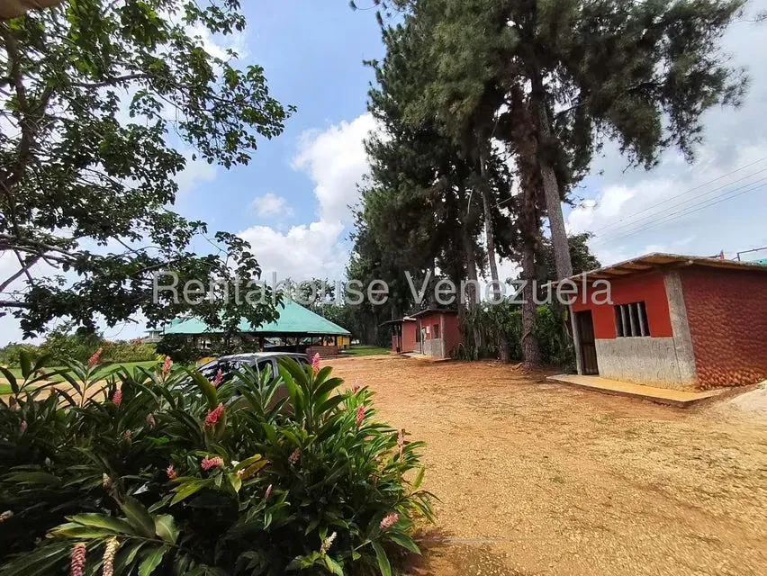 Terreno (Finca) en Venta en Sabana del Medio, Carabobo - 26