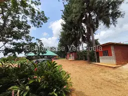 View 26