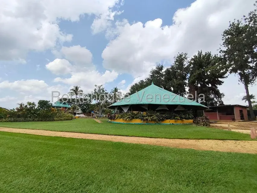 Terreno (Finca) en Venta en Sabana del Medio, Carabobo - 27