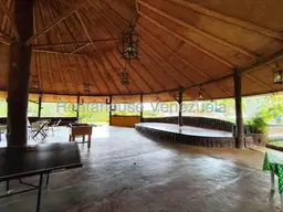 View 30