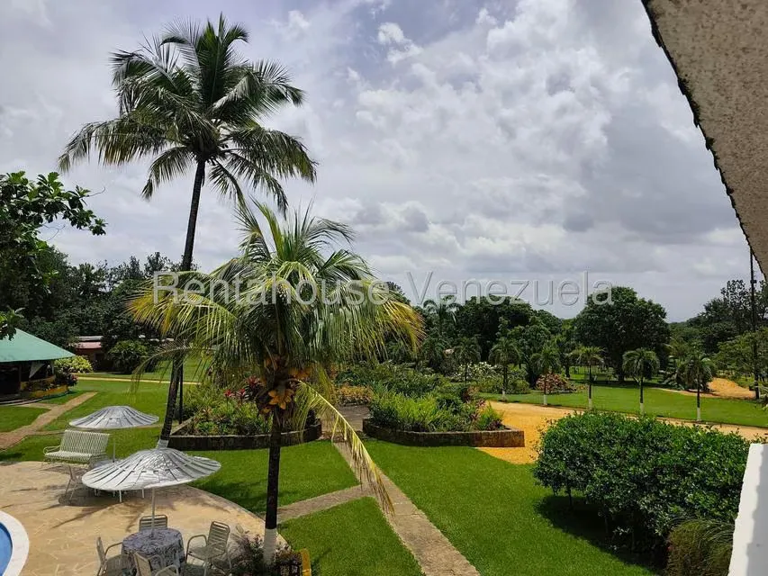 Terreno (Finca) en Venta en Sabana del Medio, Carabobo - 4