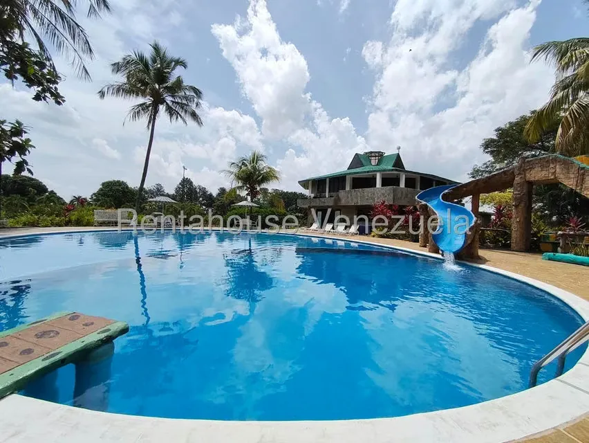 Terreno (Finca) en Venta en Sabana del Medio, Carabobo - 43