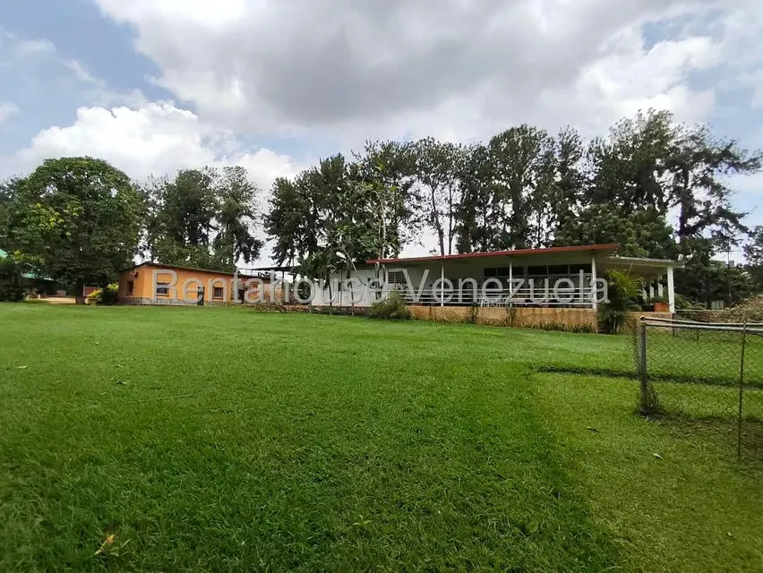 Terreno (Finca) en Venta en Sabana del Medio, Carabobo - 6