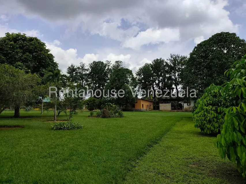 Terreno (Finca) en Venta en Sabana del Medio, Carabobo - 77
