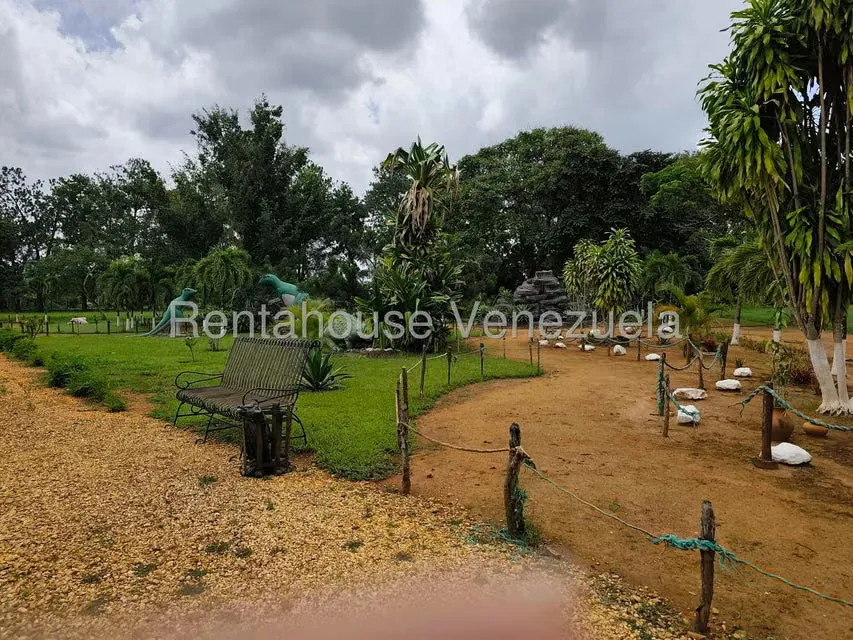 Terreno (Finca) en Venta en Sabana del Medio, Carabobo - 78