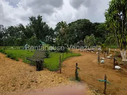 View 78
