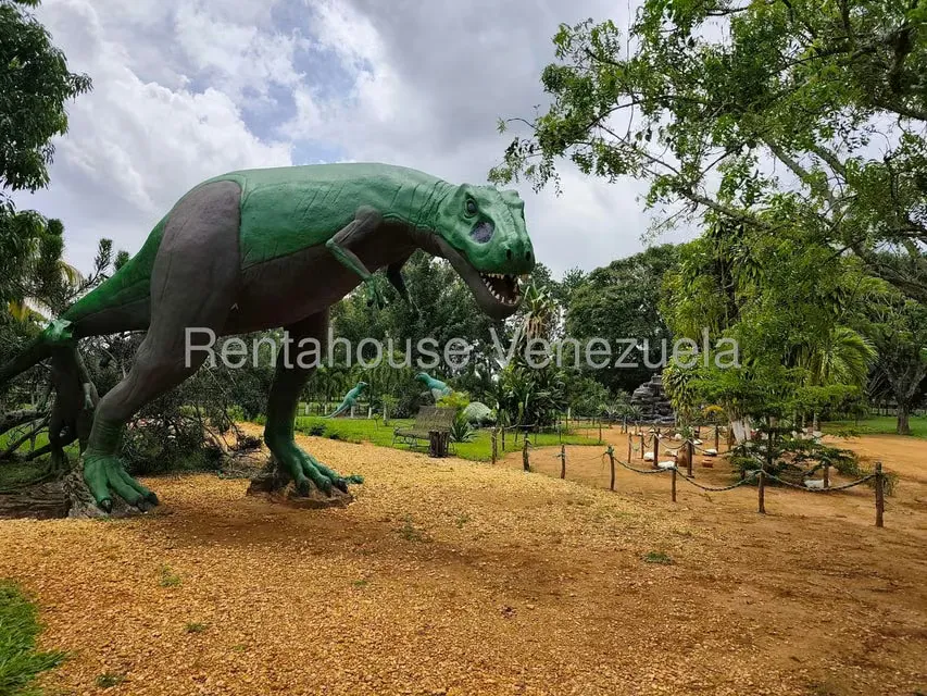 Terreno (Finca) en Venta en Sabana del Medio, Carabobo - 82