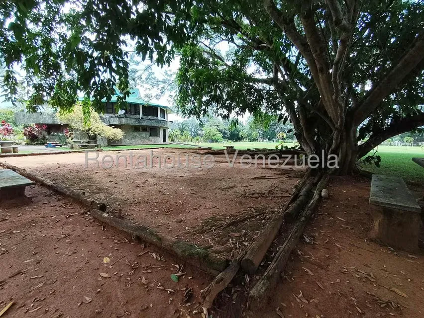 Terreno (Finca) en Venta en Sabana del Medio, Carabobo - 84