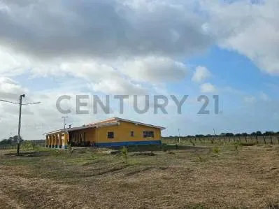 FINCA EN VENTA VIA YARACAL FALCON CC21 Inmobiliaria A1 - 2