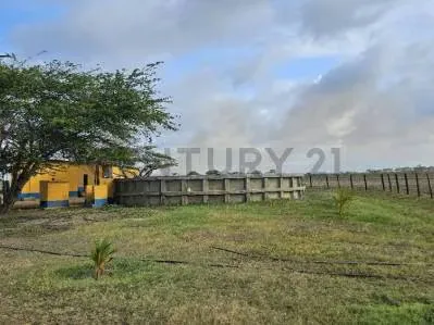 FINCA EN VENTA VIA YARACAL FALCON CC21 Inmobiliaria A1 - 4