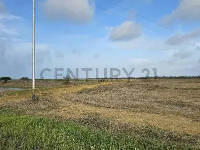 FINCA EN VENTA VIA YARACAL FALCON CC21 Inmobiliaria A1 - 6