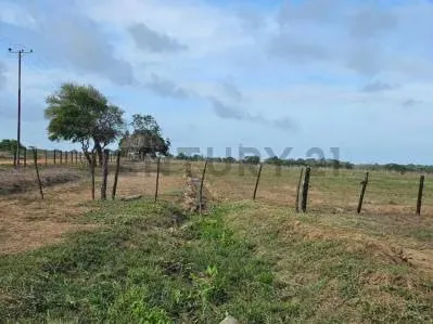 FINCA EN VENTA VIA YARACAL FALCON CC21 Inmobiliaria A1 - 8