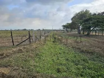 FINCA EN VENTA VIA YARACAL FALCON CC21 Inmobiliaria A1 - 9