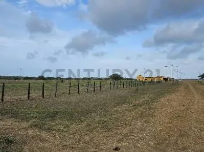 FINCA EN VENTA VIA YARACAL FALCON CC21 Inmobiliaria A1 - 10