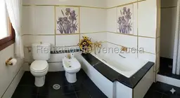 Vista 20