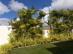 View 30