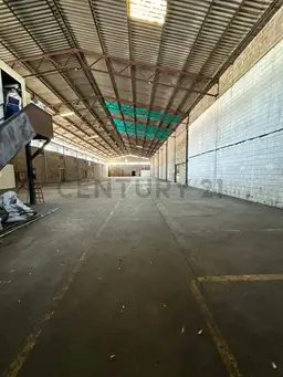 Vista 5
