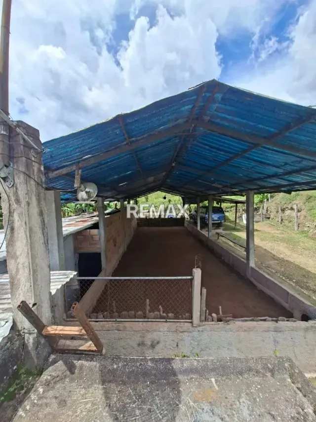En venta Casa de Campo con solar en las guamas calle principal de cordero - 11