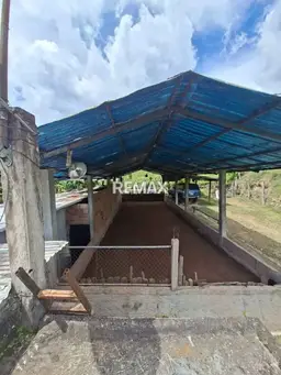 View 11
