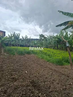 View 14