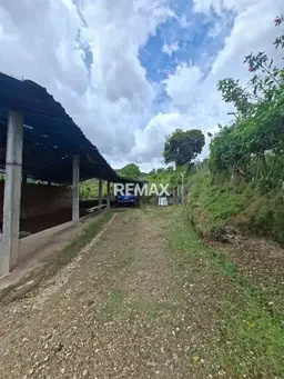View 6