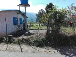 Vista 4