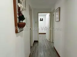 Vista 19