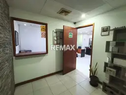 Vista 6