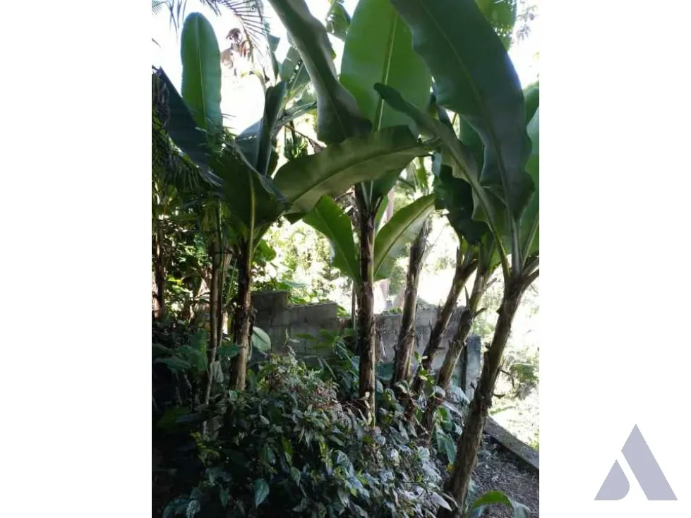 Vendo casa 305m2 El Hatillo 9969 - 14