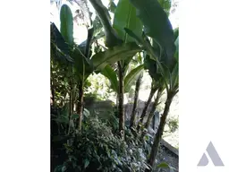 Vista 14