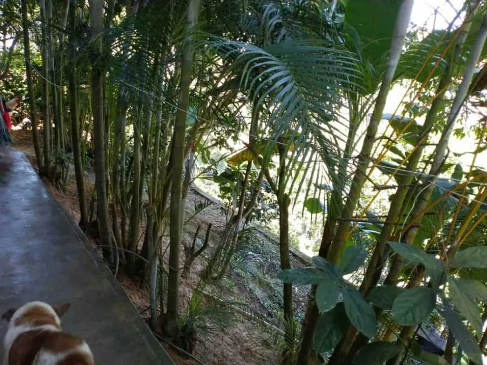 Vendo casa 305m2 El Hatillo 9969 - 15