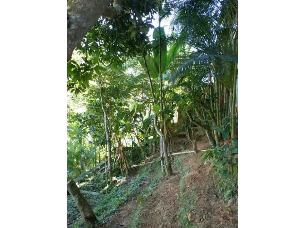 Vendo casa 305m2 El Hatillo 9969 - 17