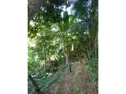 Vista 17