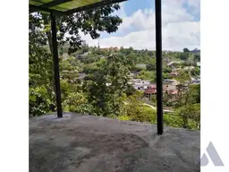Vista 19