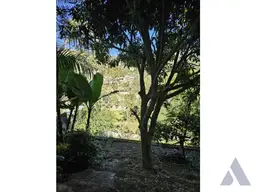 Vista 4