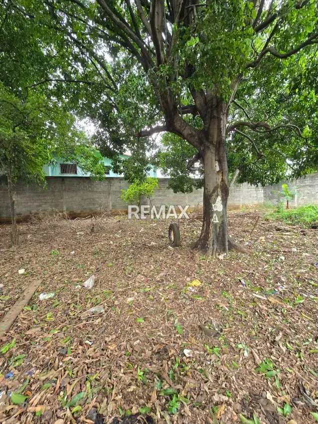 TERRENO CON BIENHECHURIAS EN VENTAS - 5