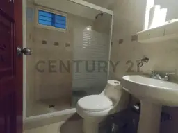 Vista 15