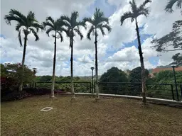 View 23
