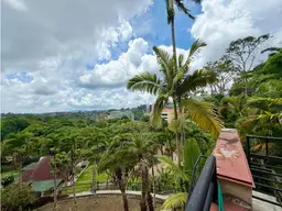 View 41