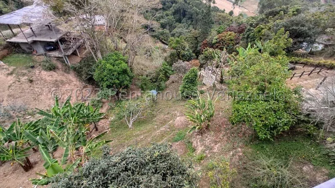 Terreno (Residencial) en Venta en Club de Campo, Miranda - 22