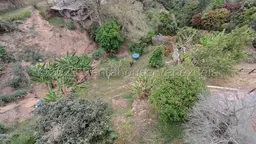 View 23