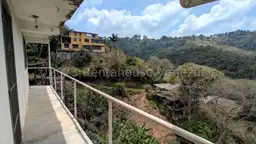 View 24
