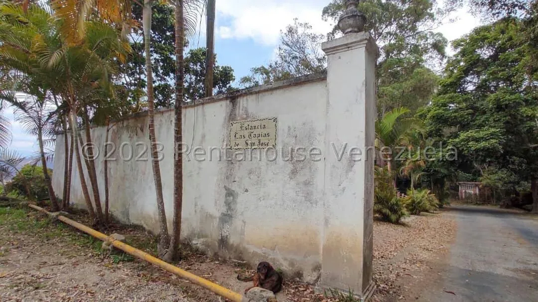 Terreno (Residencial) en Venta en Club de Campo, Miranda - 29