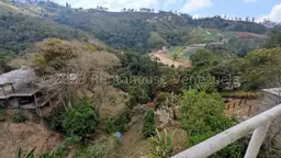 View 30