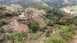 View 42
