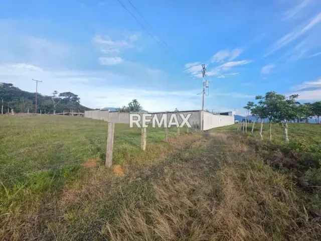 Terreno en Venta Via casa del Padre A 30mtrs de la Principal. Terreno: 1.237,66. - 8